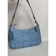 Coach Women's Bags