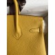 Hermes Birkin 25cm Best Quality
