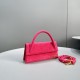 Jacquemus Bags Best Quality
