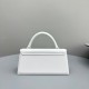 Jacquemus Bags Best Quality