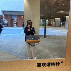 LV Bags and Wallets, Good Quality, $30–$50