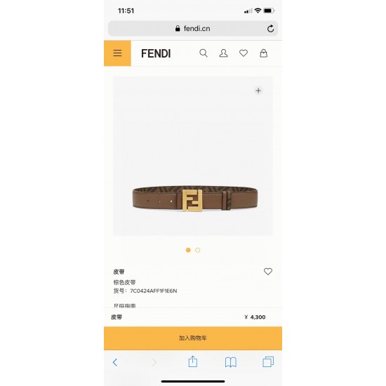 Fendi Belts