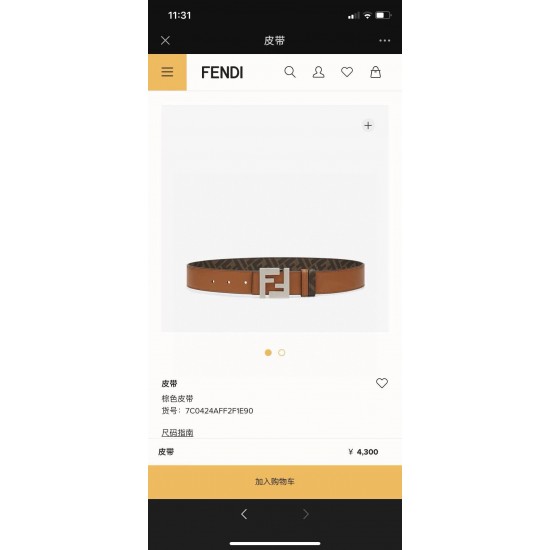 Fendi Belts