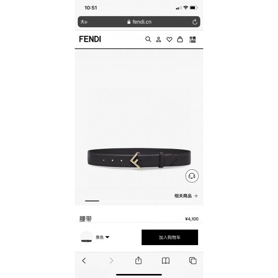Fendi Belts