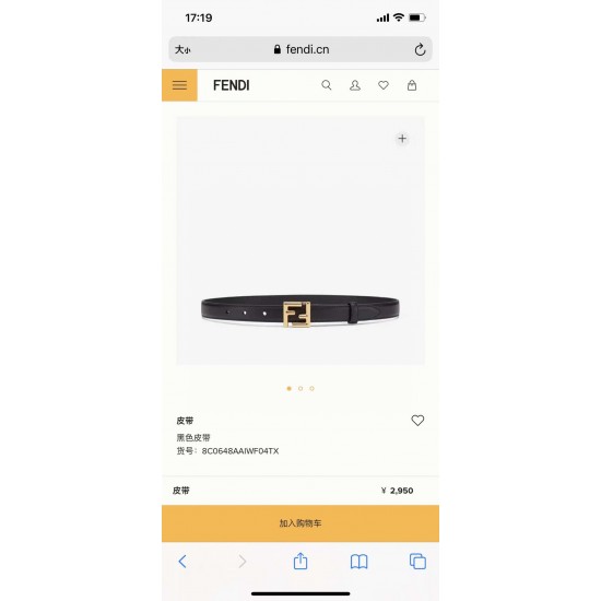Fendi Belts