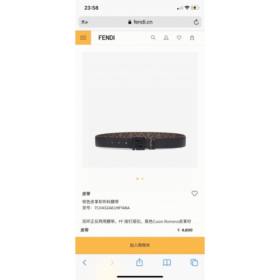 Fendi Belts