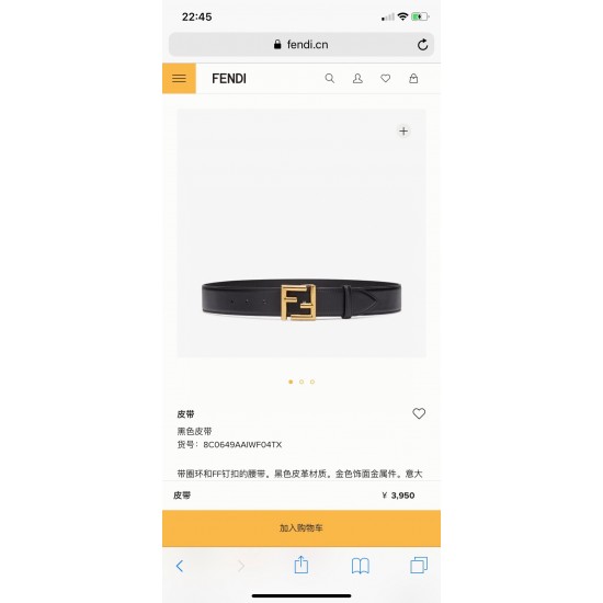 Fendi Belts