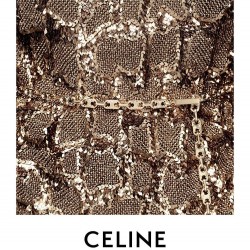 Celine Belts