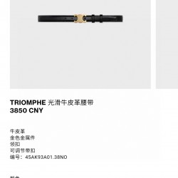 Celine Belts