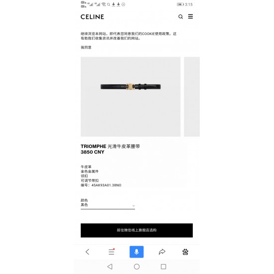 Celine Belts