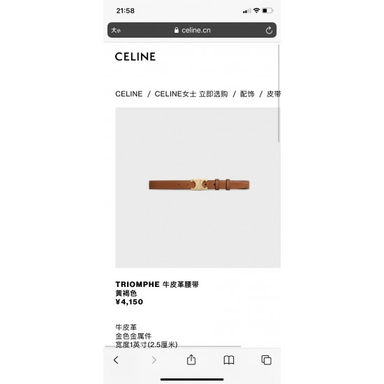 Celine Belts
