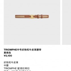 Celine Belts