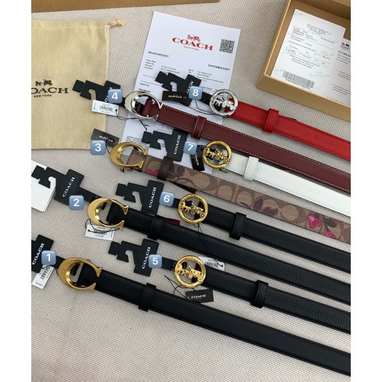 Coach Belts