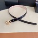 DG Belts