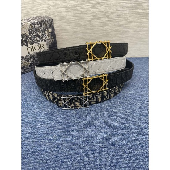 Dior Belts