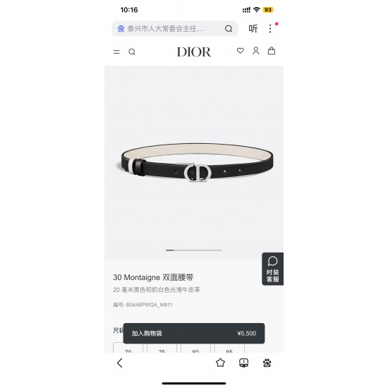 Dior Belts