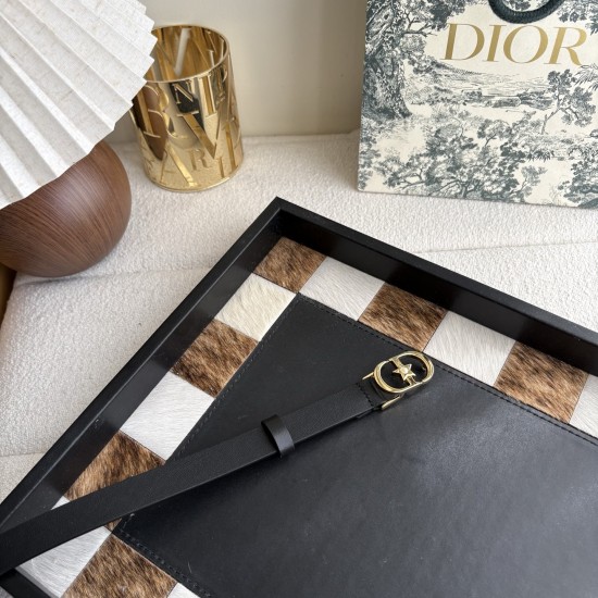 Dior Belts