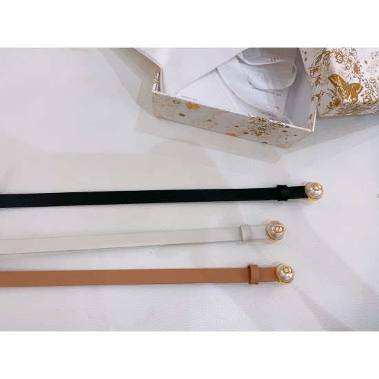 Dior Belts