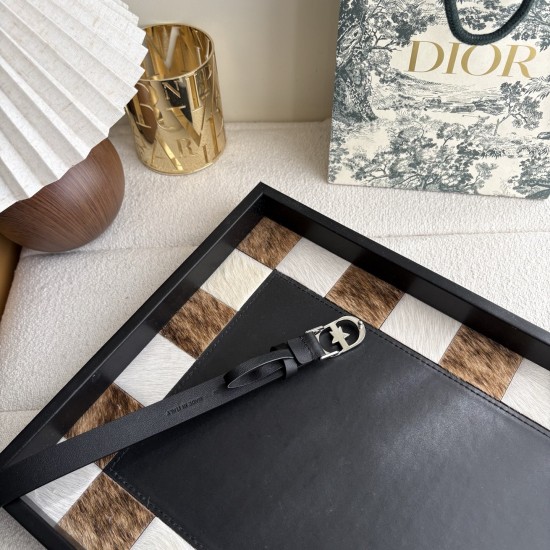 Dior Belts