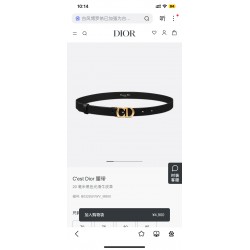 Dior Belts