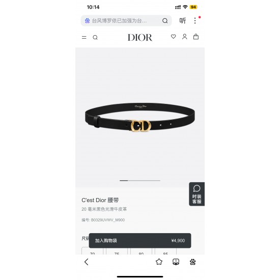 Dior Belts
