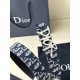 Dior Belts