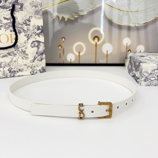 Dior Belts