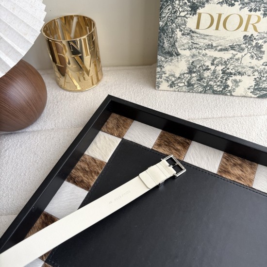 Dior Belts