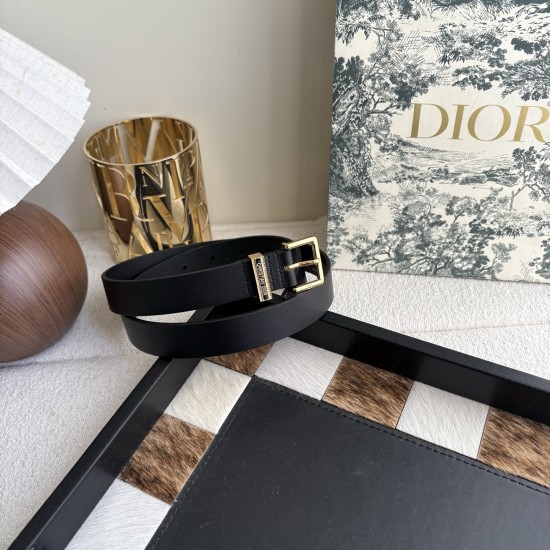 Dior Belts