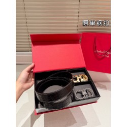 Ferragamo Men Belts