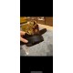 Ferragamo Women's Belts