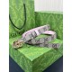 Gucci Women's Belts