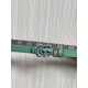 Gucci Women's Belts
