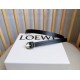 Loewe Belts