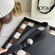 Loewe Belts