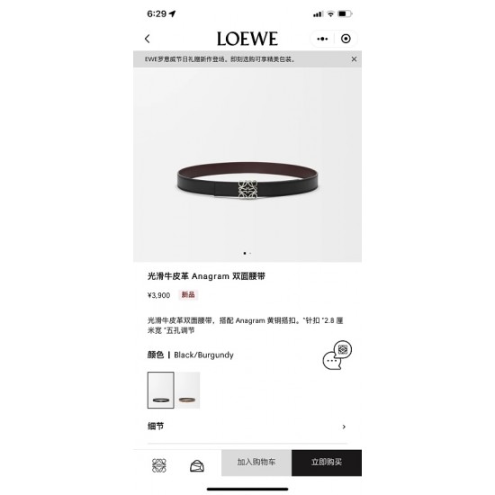Loewe Women's Belts
