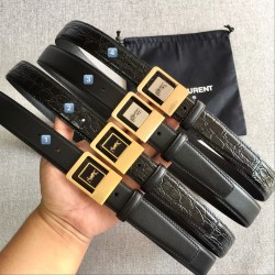YSL Women's Belts