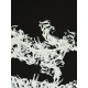 Arcteryx Clothing