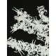 Arcteryx Clothing