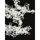 Arcteryx Clothing