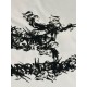 Arcteryx Clothing
