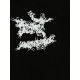 Arcteryx Clothing