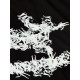 Arcteryx Clothing