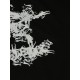 Arcteryx Clothing