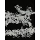 Arcteryx Clothing