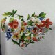 Dior Clothing