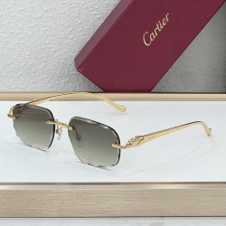 Cartier Glasses