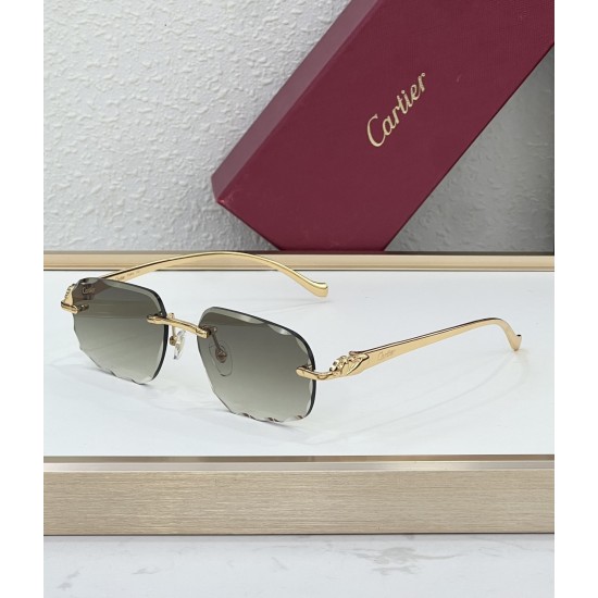 Cartier Glasses
