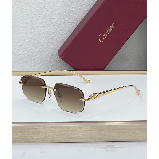 Cartier Glasses