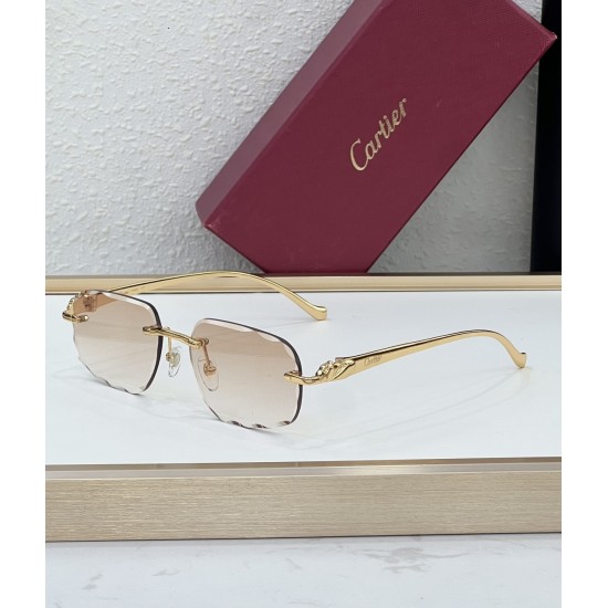Cartier Glasses
